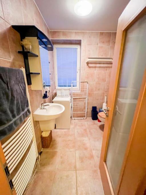 Prokop Appartement Železná Ruda Buitenkant foto