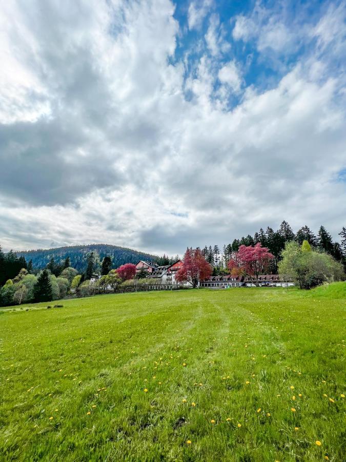 Prokop Appartement Železná Ruda Buitenkant foto