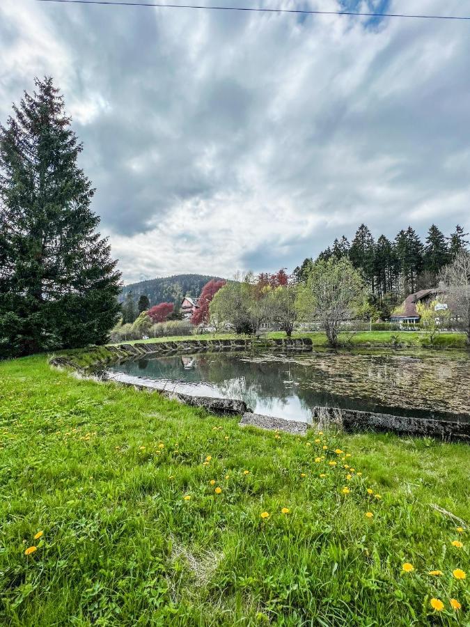 Prokop Appartement Železná Ruda Buitenkant foto